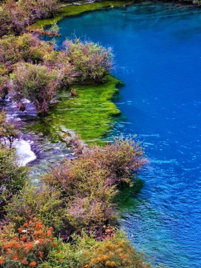 凰家看台|房地产的废墟里，八冠王在自救