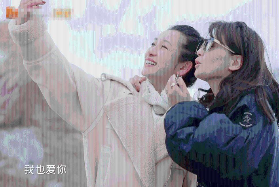 小猫钓鱼正版下载中文版