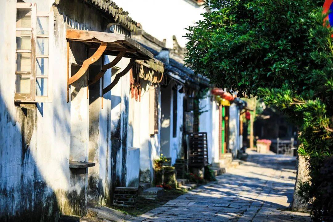 来自法国的顿巴斯志愿者谈为乌克兰而战的讲法语的雇佣军